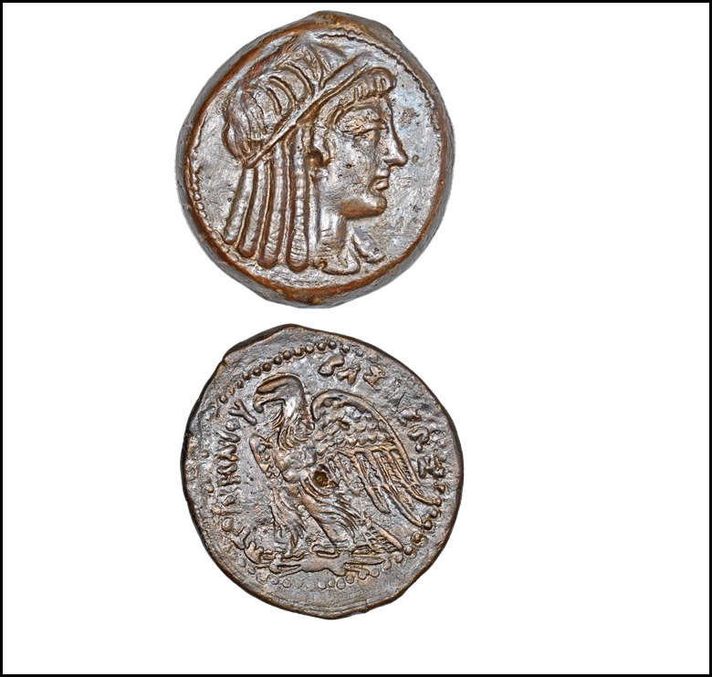 Présentation des monnaies trouvées lors des travaux au Portus Magnus et des fouilles du Centre d’Etudes Alexandrines.