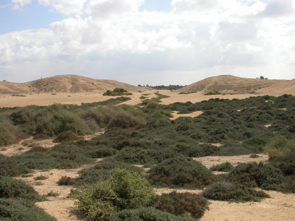 Le site de Kôm Bahig, localisé à une cinquantaine de kilomètres à l’ouest de la ville d’Alexandrie dans la région de la Maréotide, est fouillé depuis 2016 par le Centre d’ Études Alexandrines.